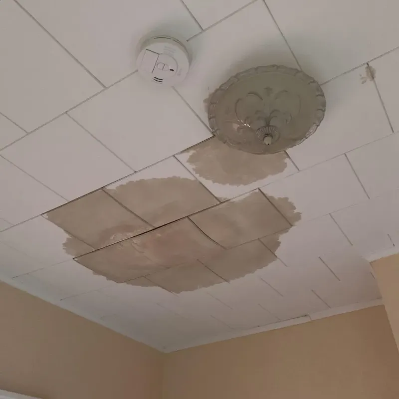 Ceiling Water Damage Repair in Russiaville, IN