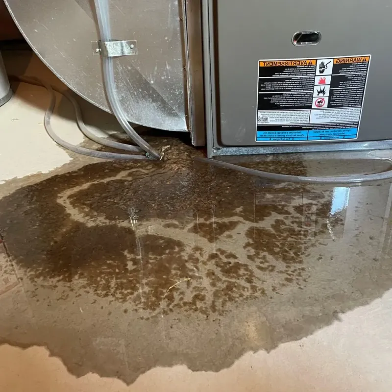 Pipe Burst and Leak Restoration in Russiaville, IN