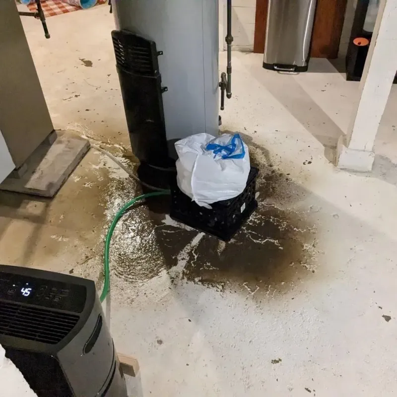 Sewage Backup Cleanup Service in Russiaville, IN